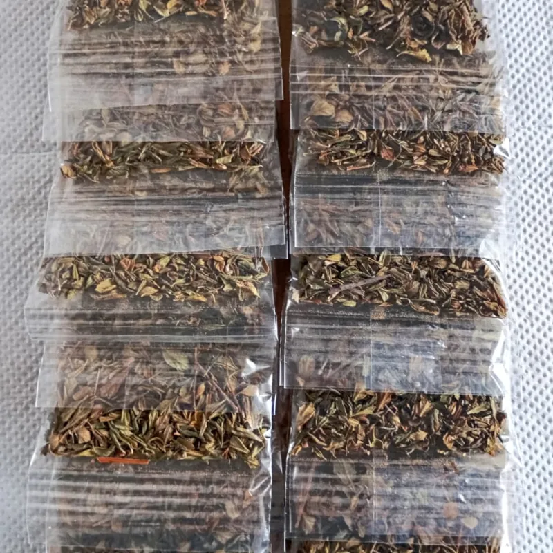 OREGANO SOBRE 5G